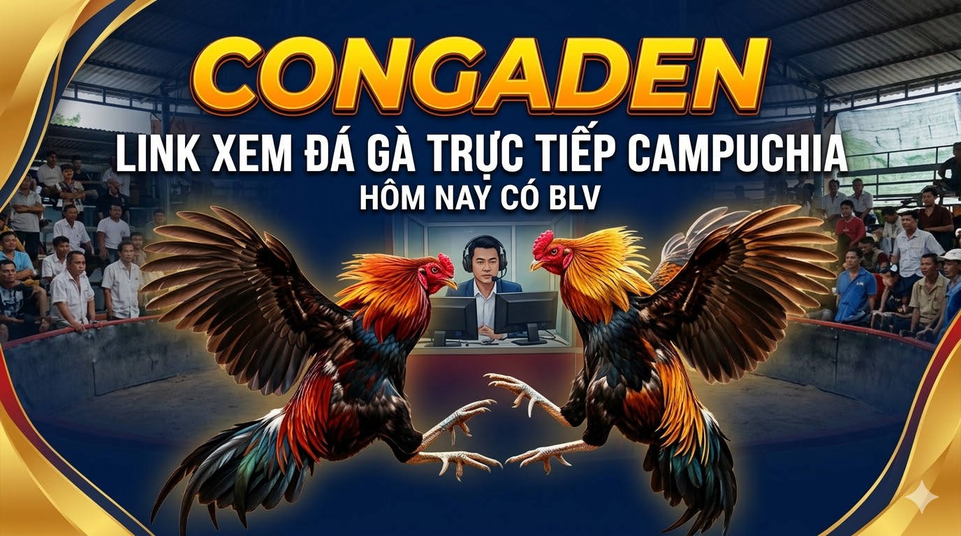 đá gà trực tiếp - congaden