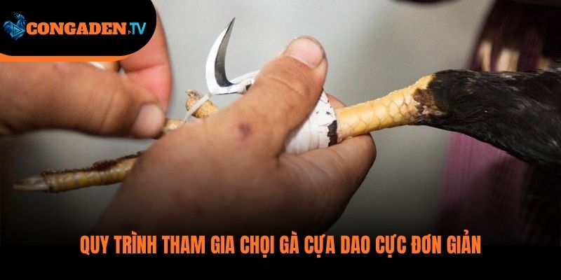 đá gà cựa dao