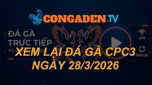 XEM LẠI ĐÁ GÀ CPC3 NGÀY 28/3/26