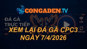 XEM LẠI ĐÁ GÀ CPC3 NGÀY 7/4/26