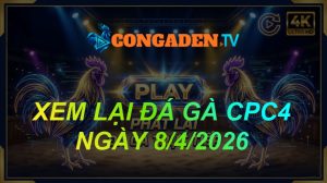 XEM LẠI ĐÁ GÀ CPC4 NGÀY 8/4/26
