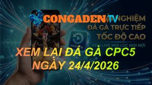 Xem lại đá gà CPC5 ngày 24/04/2026