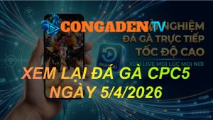 XEM LẠI ĐÁ GÀ CPC5 NGÀY 5/4/26